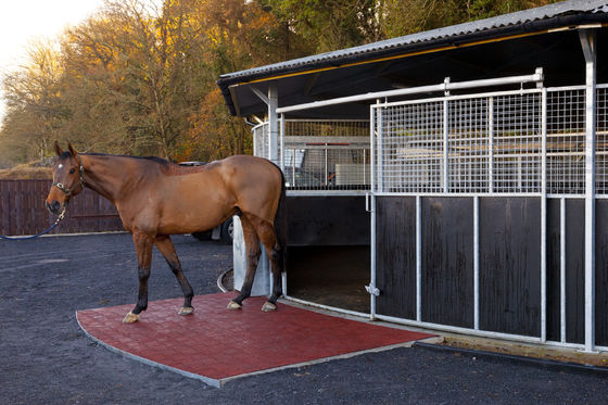 سعر جيد مساحيق الأرضية المطاطية المضادة للنزلق المخصصة عينات مجانية لحماية السطح متصل