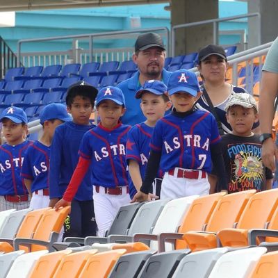 كرسي الملاعب البلاستيكي HDPE مع ميزات مضادة للشيخوخة مضادة للأشعة فوق البنفسجية والضمان من الحريق للملاعب والأراضي