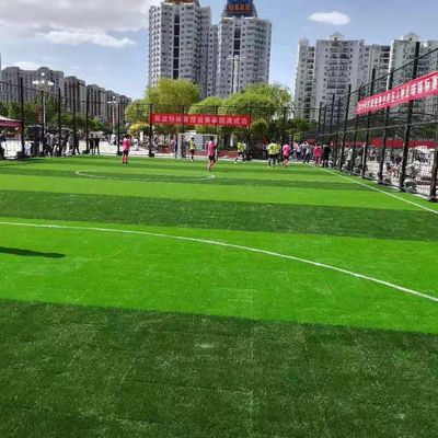 سعر جيد مادة PE PP العشب الاصطناعي الاصطناعي لتدريب مدرسة كرة القدم متصل