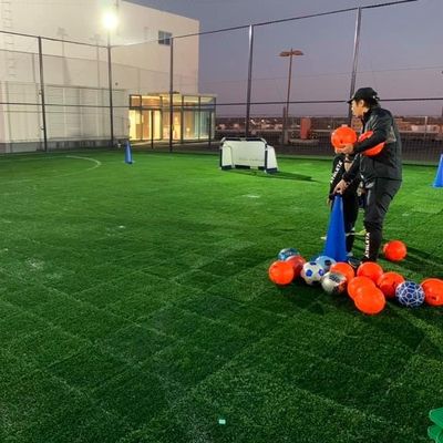 عشب صناعي مضاد للأشعة فوق البنفسجية مضاد للشيخوخة 45 مم ، عشب صناعي للرياضة 50 سم × 50 سم