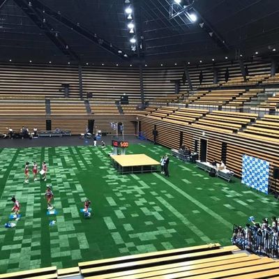 45 مم ارتفاع العشب الاصطناعي الاصطناعية لكرة القدم لكرة القدم شهادة SGS المحكمة الرياضية